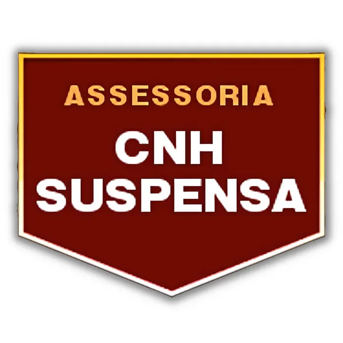 CNH Car - Assessoria e Soluções em Trânsito